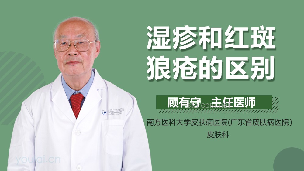 第二届小动物皮肤病论坛过敏主题实操指南：专家解析临床诊疗难题